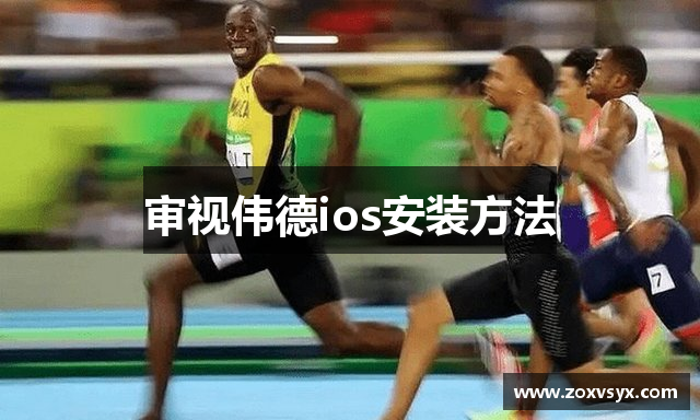 审视伟德ios安装方法